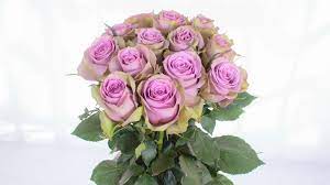 Samathas Bridal rose