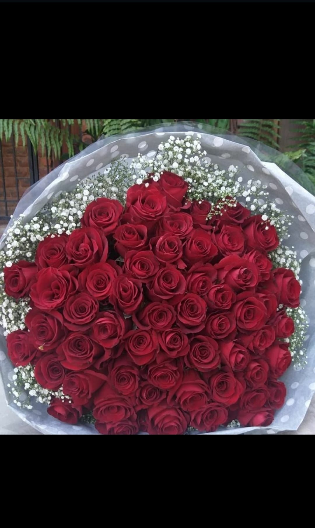 60 Red Rose Bouquet Discovery Flowers