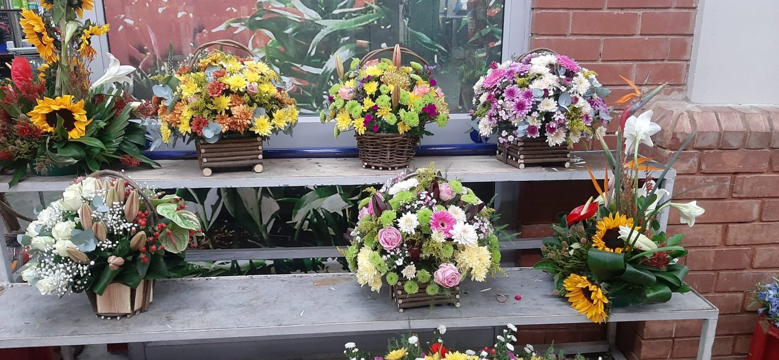 EXPRESS DELIEVERY ARRANGEMENTS 1 HOUR Discovery Flowers