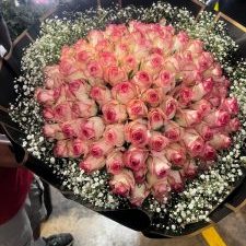 img 20250908 wa0038 225x300 1.jpg