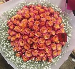 img 20250908 wa0058 e1757356680333 245x300 1.jpg