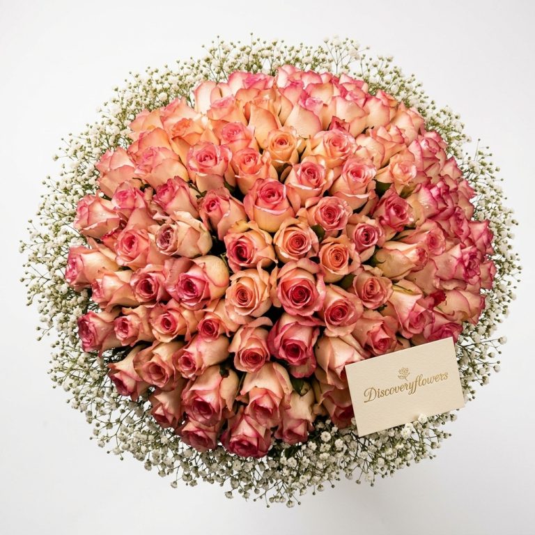 Home Roses